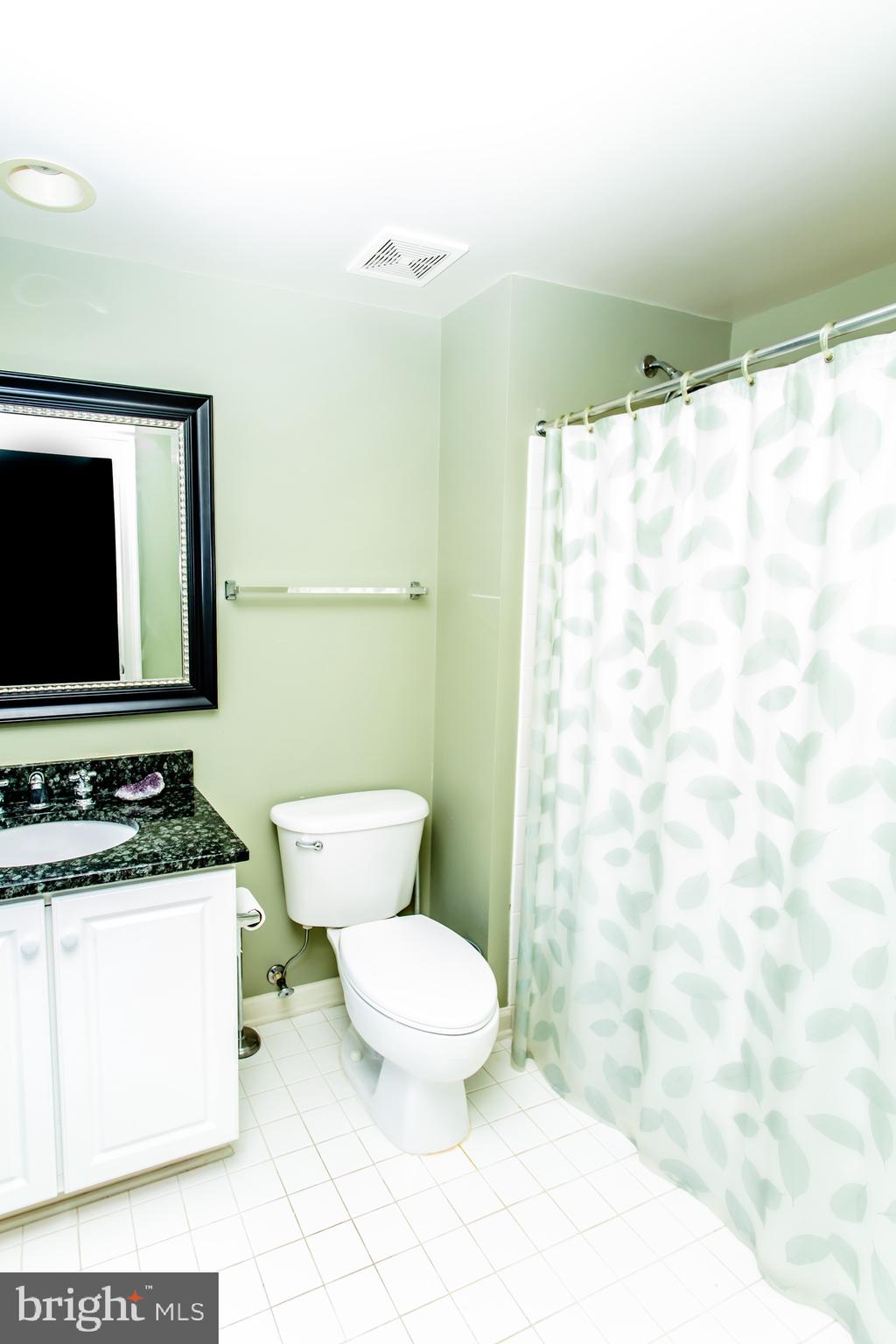 428 JOHN CARLYLE STREET