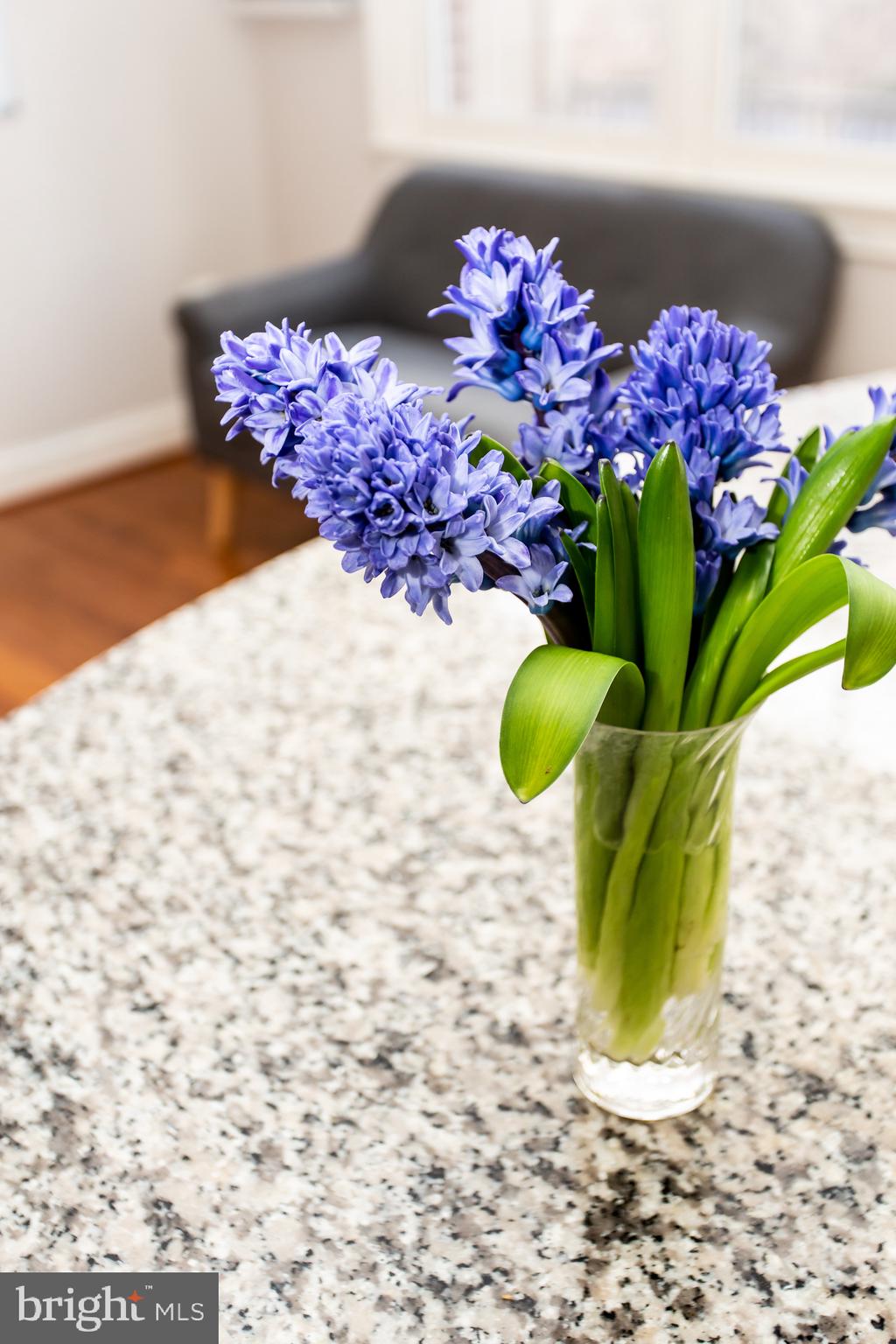 428 JOHN CARLYLE STREET