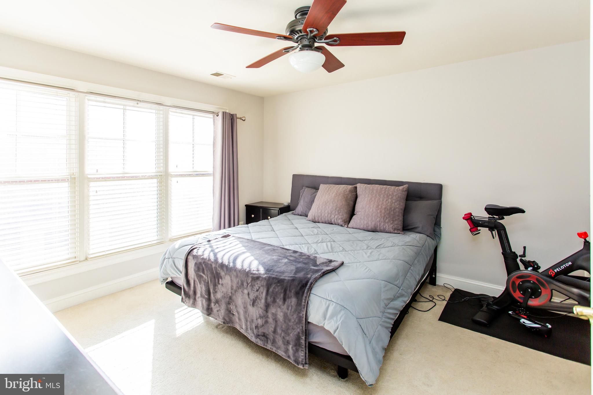 428 JOHN CARLYLE STREET