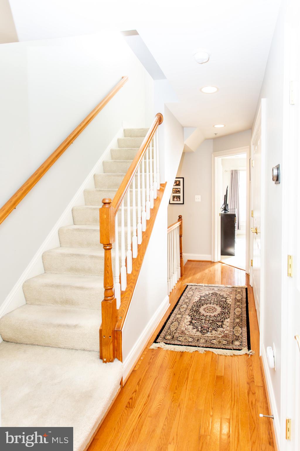 428 JOHN CARLYLE STREET