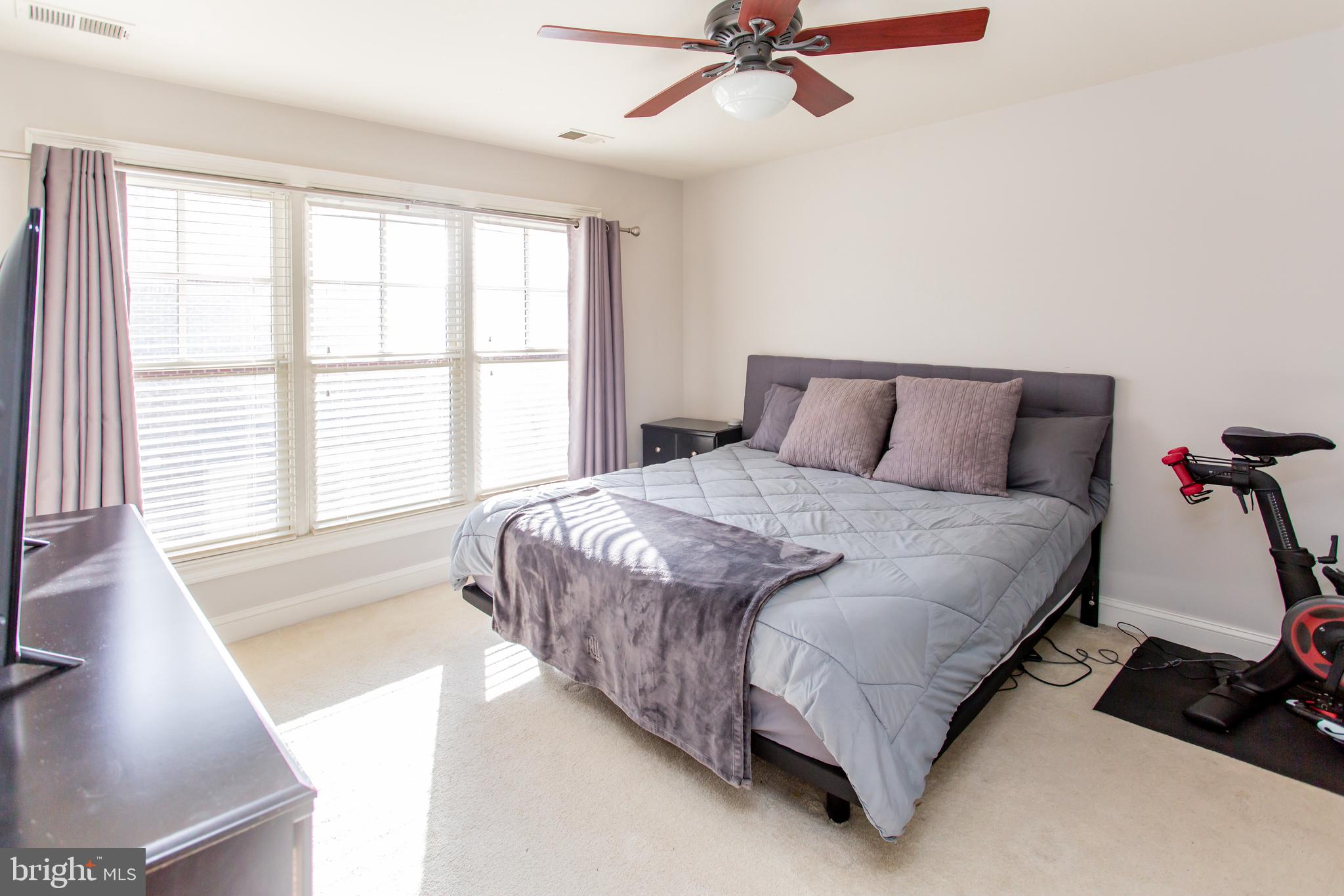 428 JOHN CARLYLE STREET