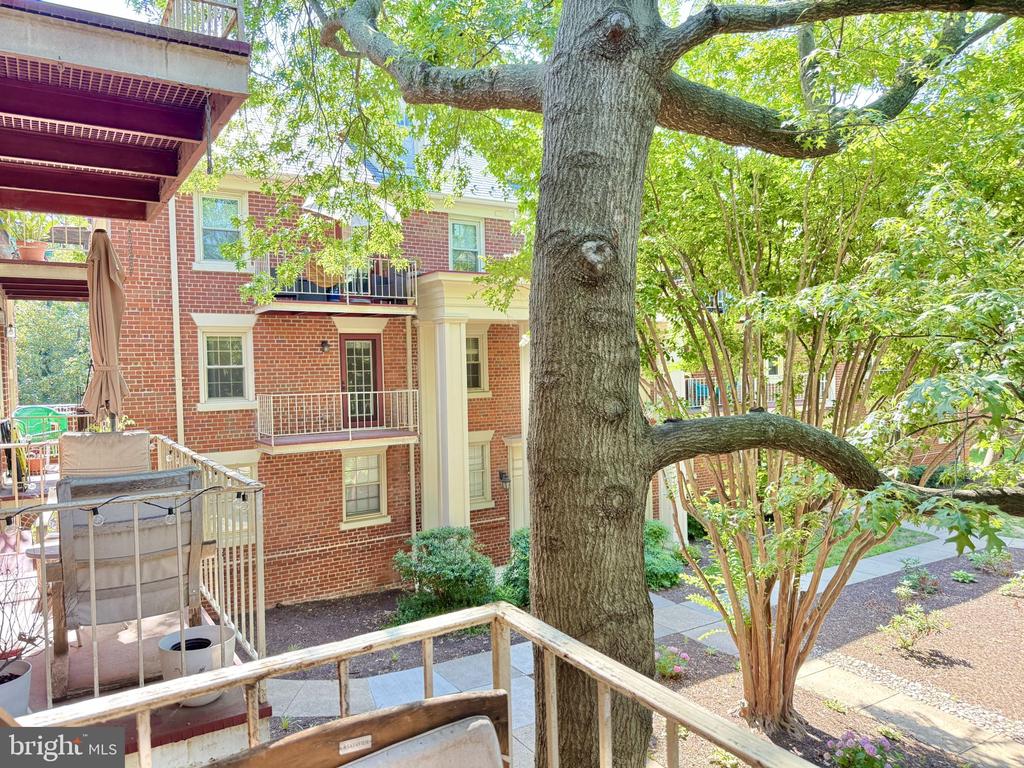 1407 E ABINGDON DRIVE Unit: 4