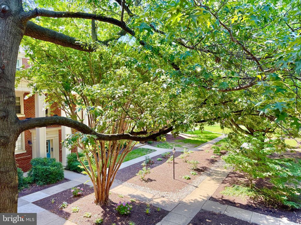 1407 E ABINGDON DRIVE Unit: 4