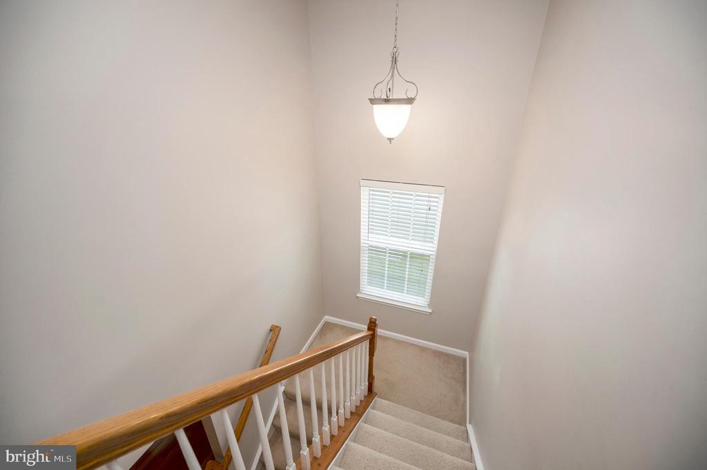12037 LIVE OAK DRIVE