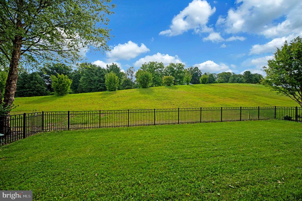 12037 LIVE OAK DRIVE
