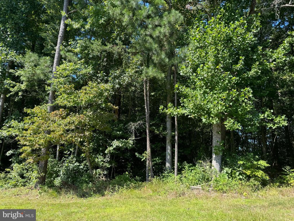 308 CRUMP DRIVE
