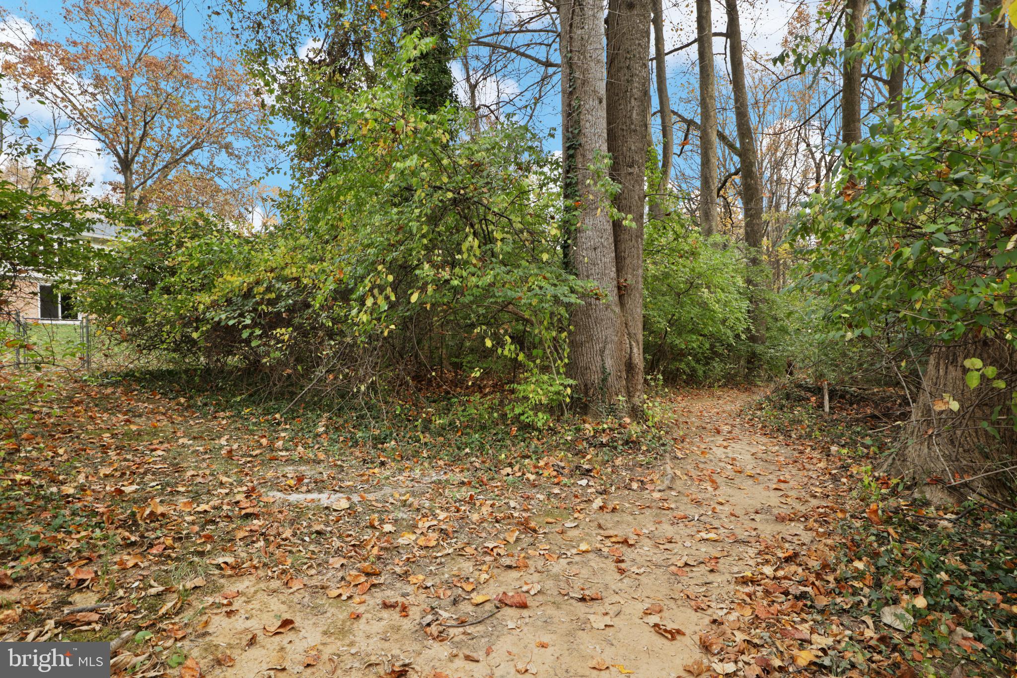 10015 BLUE COAT DRIVE