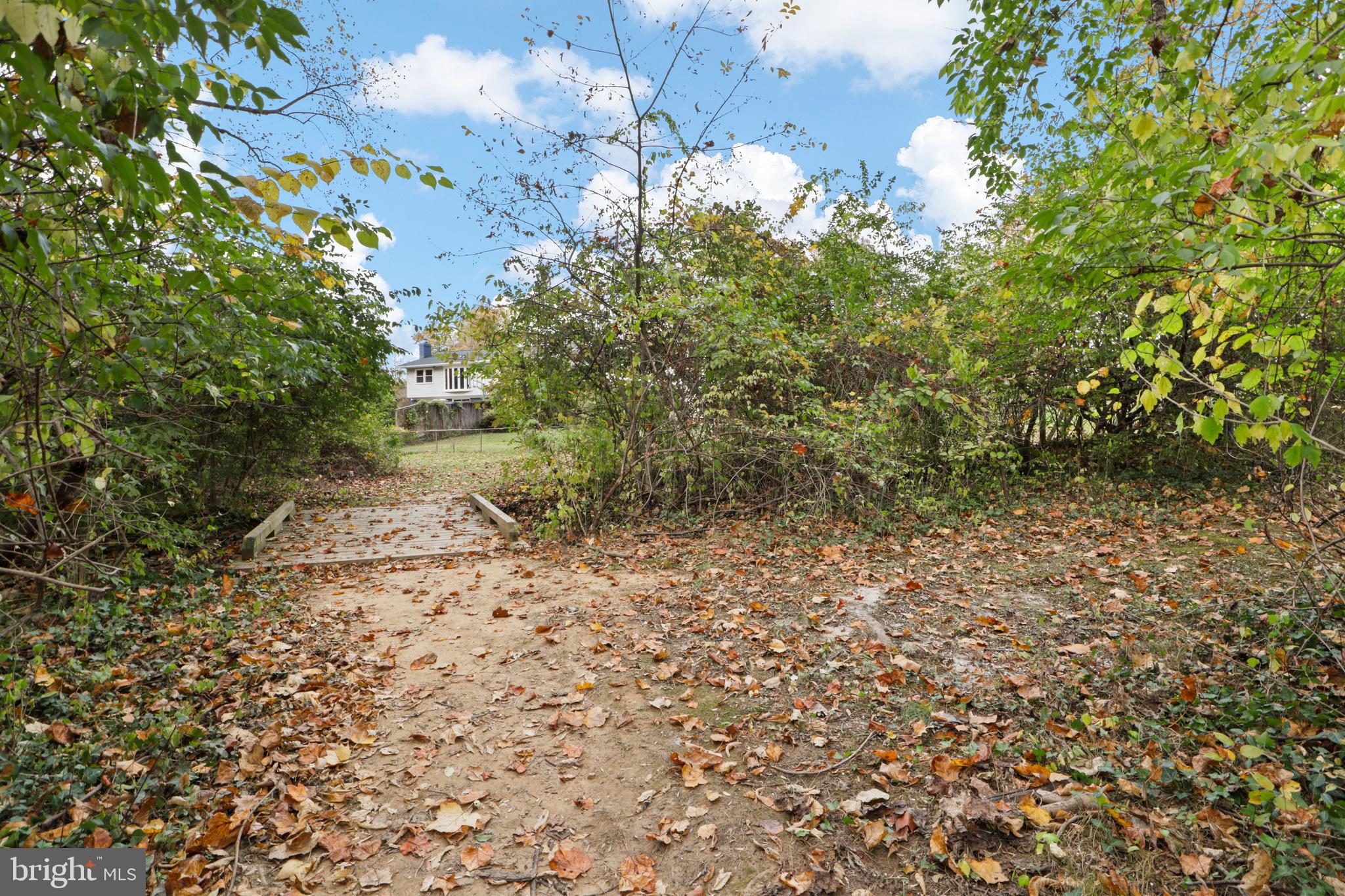 10015 BLUE COAT DRIVE