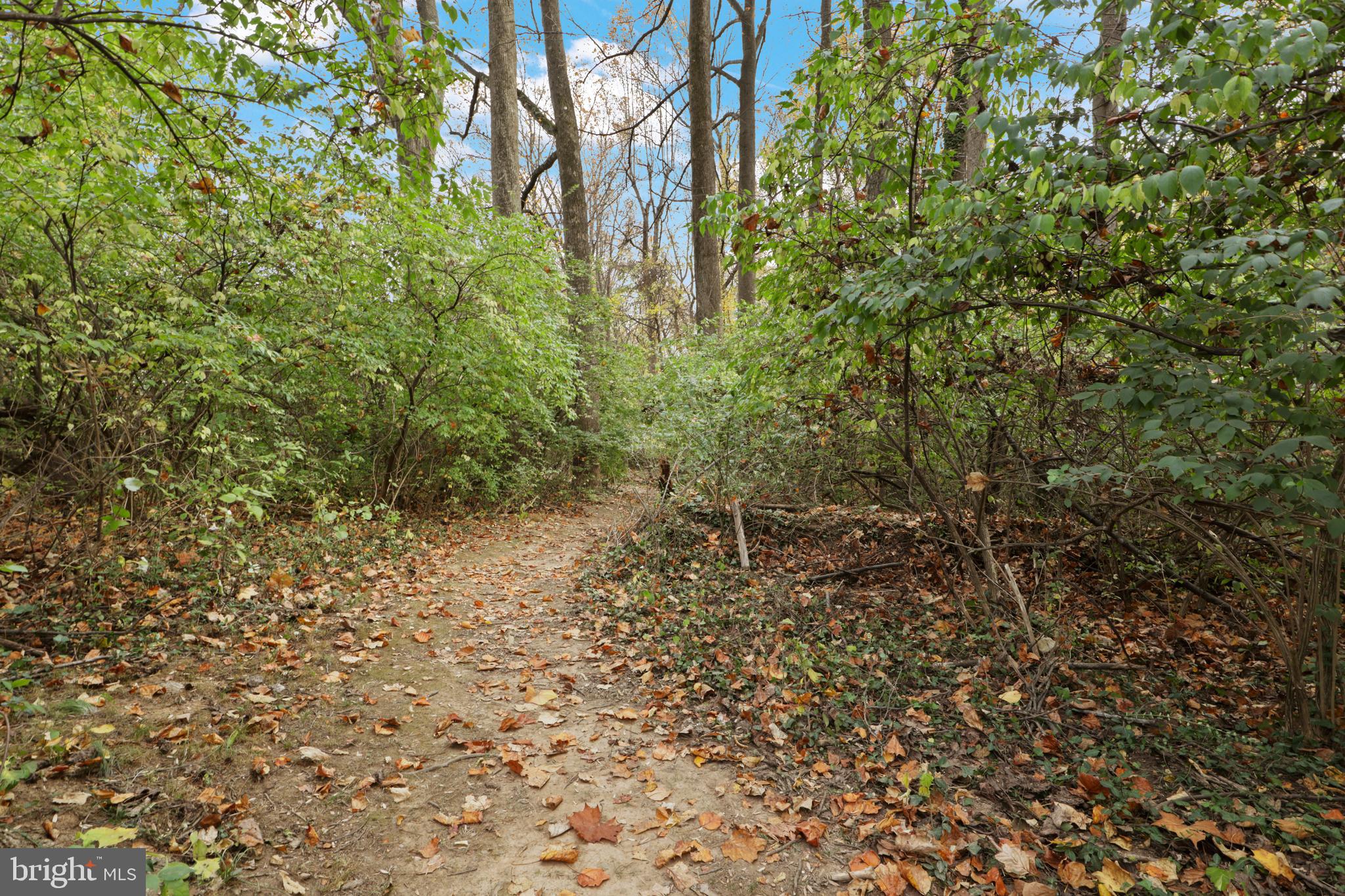 10015 BLUE COAT DRIVE