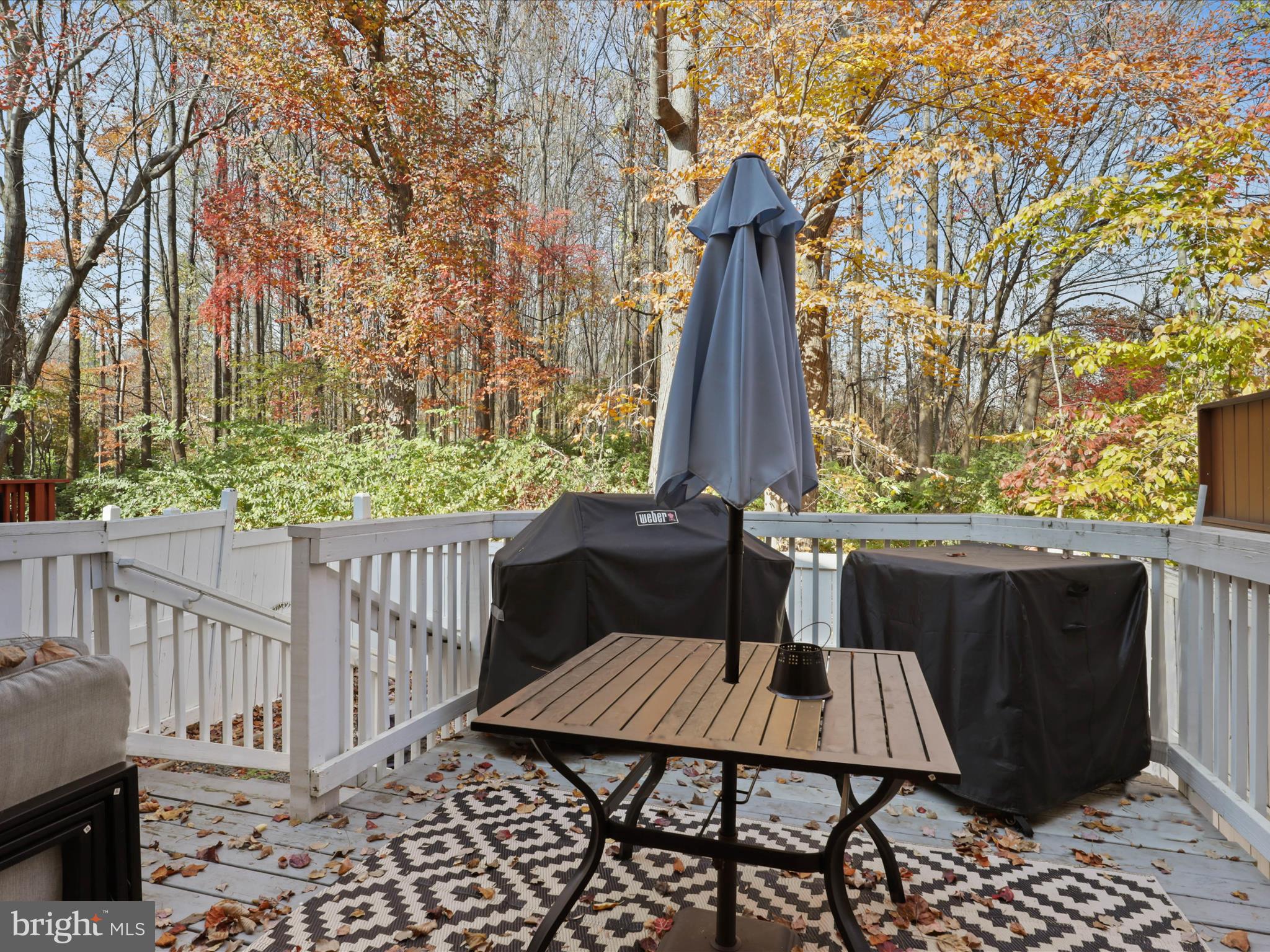 9428 COLONADE DRIVE