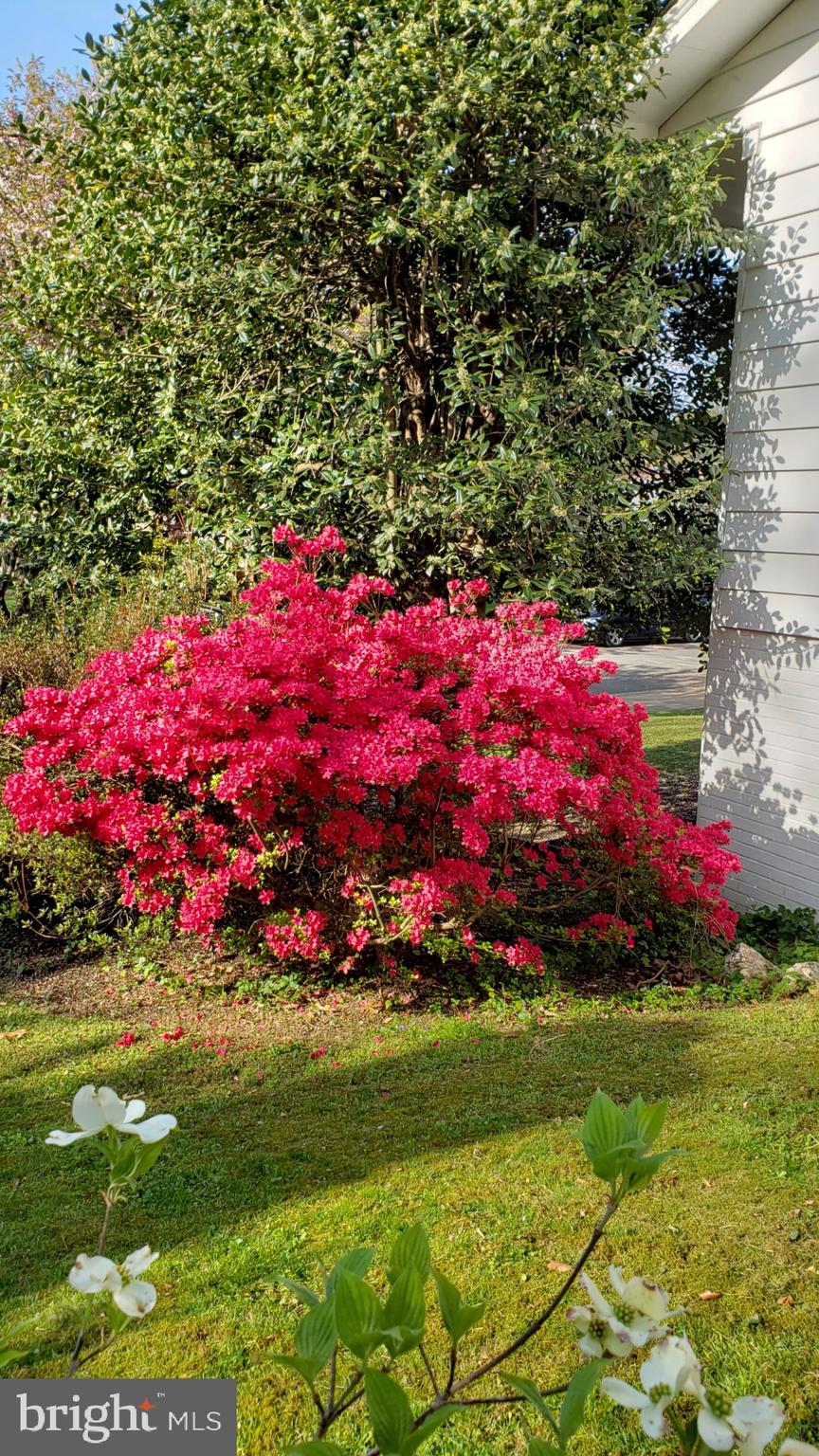 2529 W MEREDITH DRIVE