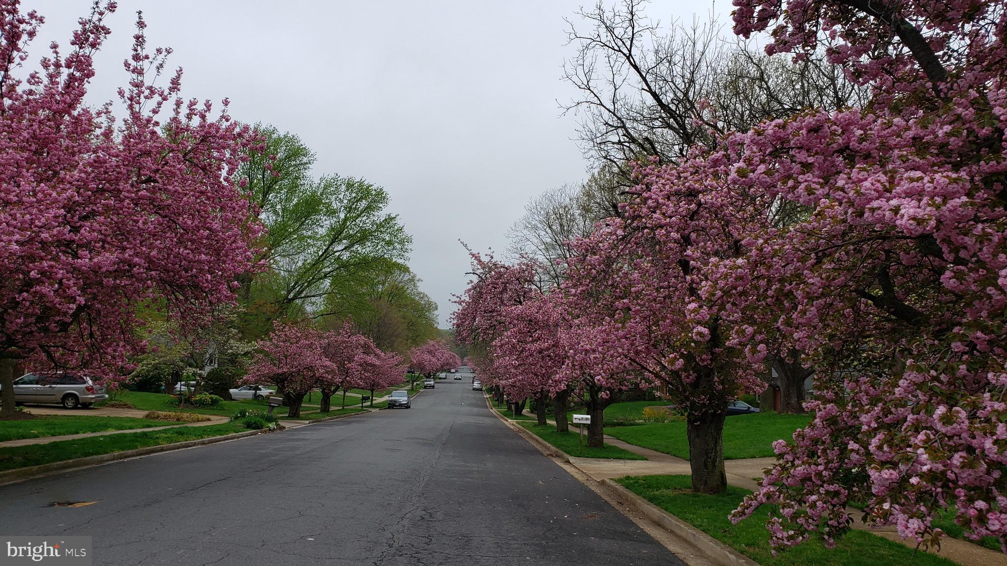 2529 W MEREDITH DRIVE