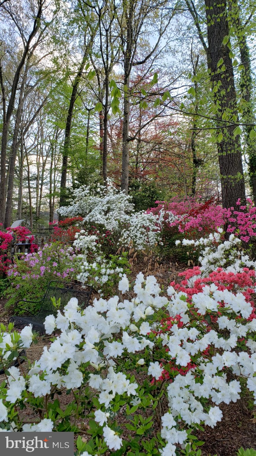 2529 W MEREDITH DRIVE