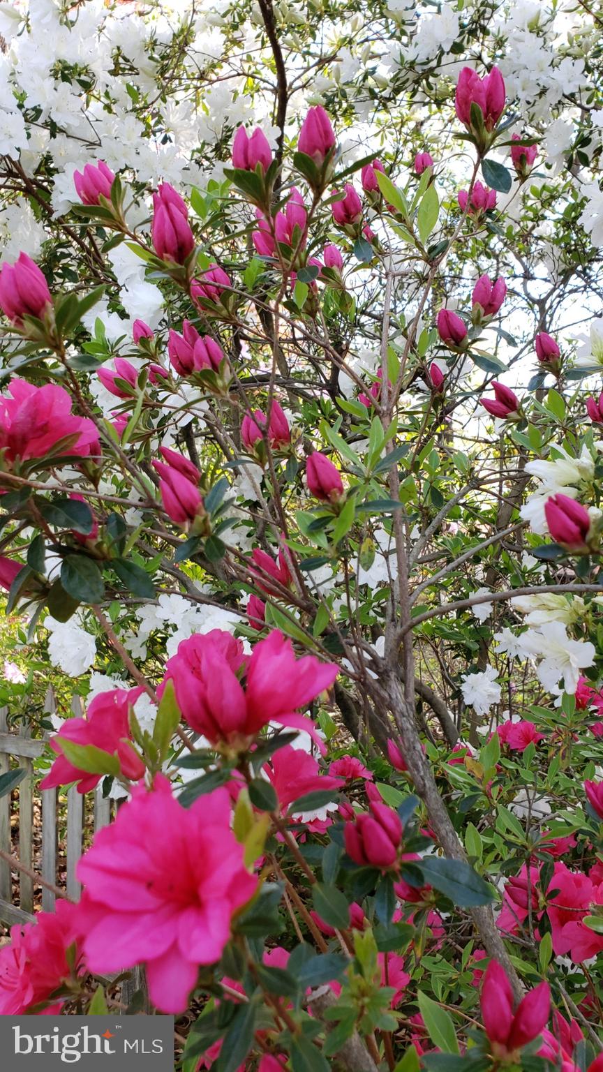 2529 W MEREDITH DRIVE