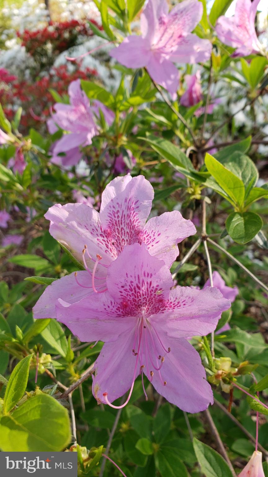 2529 W MEREDITH DRIVE