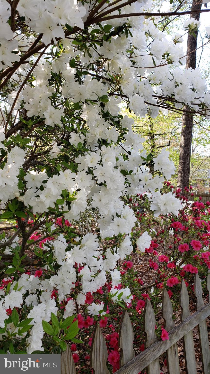 2529 W MEREDITH DRIVE