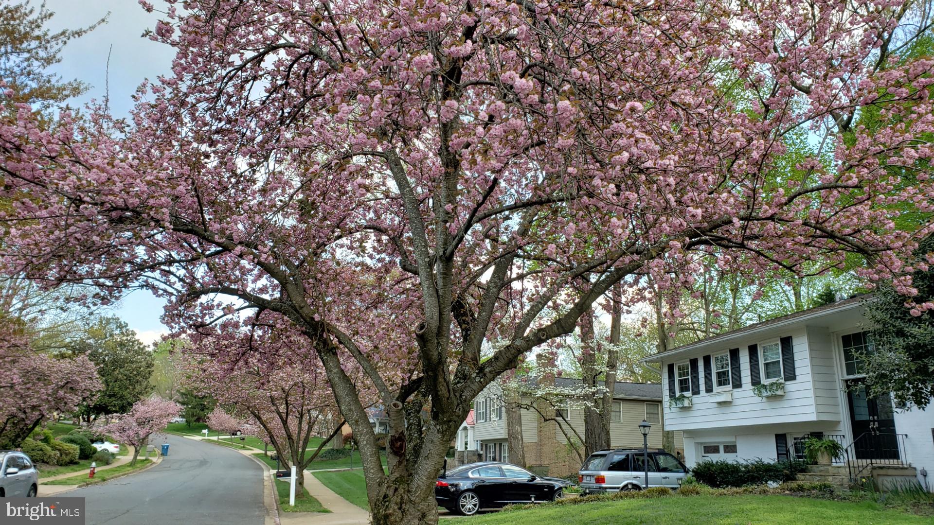 2529 W MEREDITH DRIVE