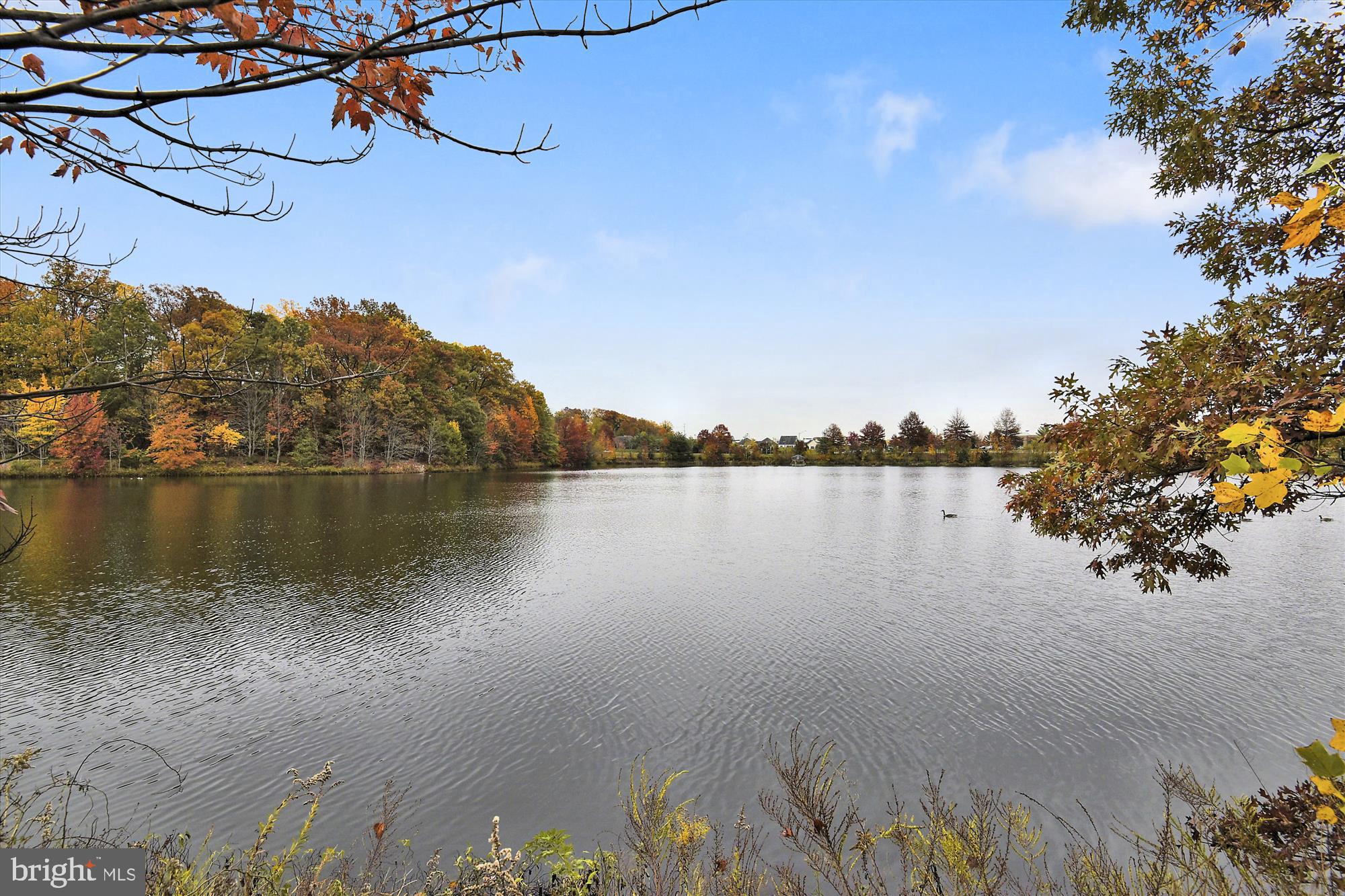 5844 WESCOTT HILLS WAY