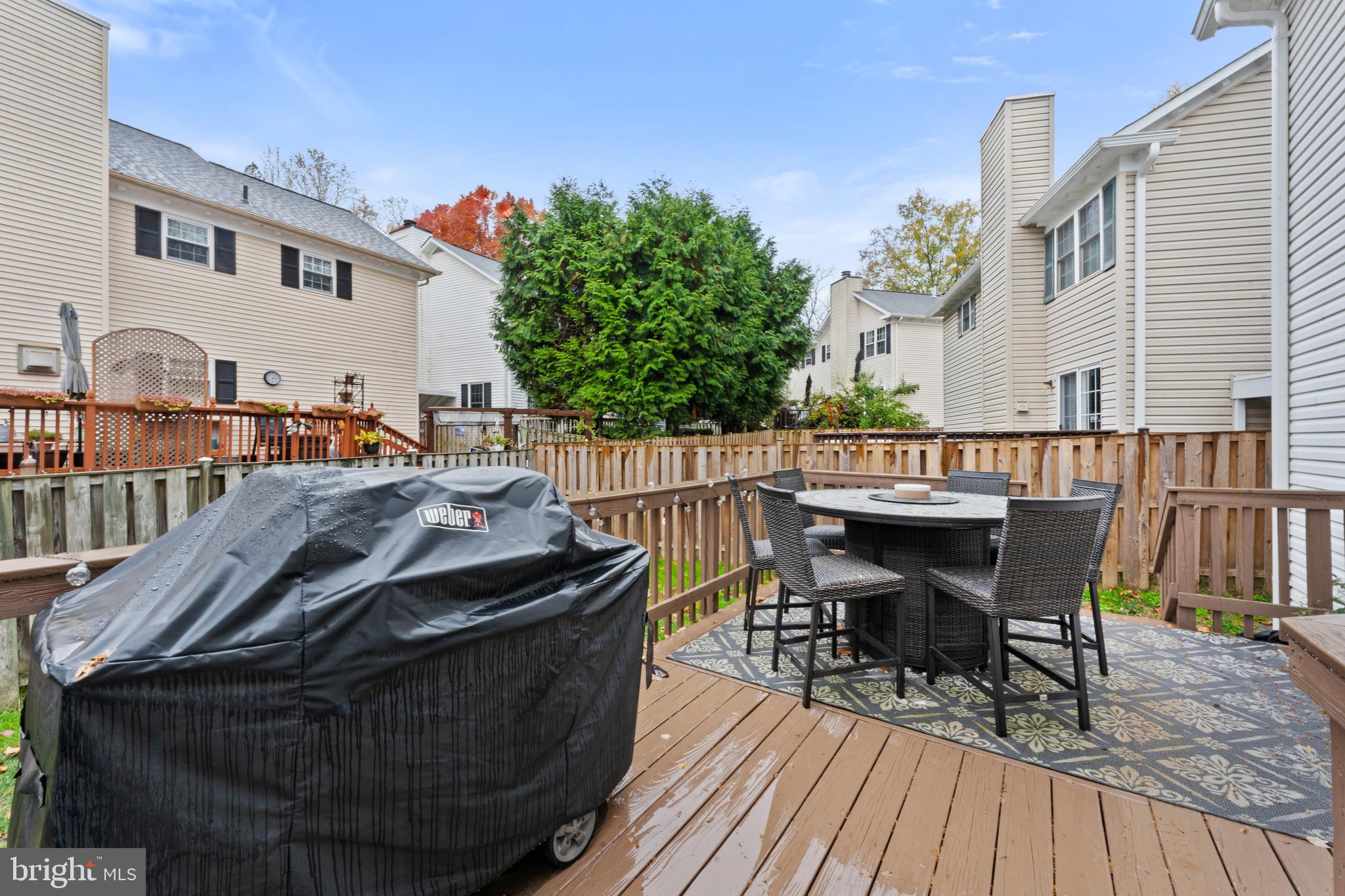 10105 SCHOOLHOUSE WOODS COURT