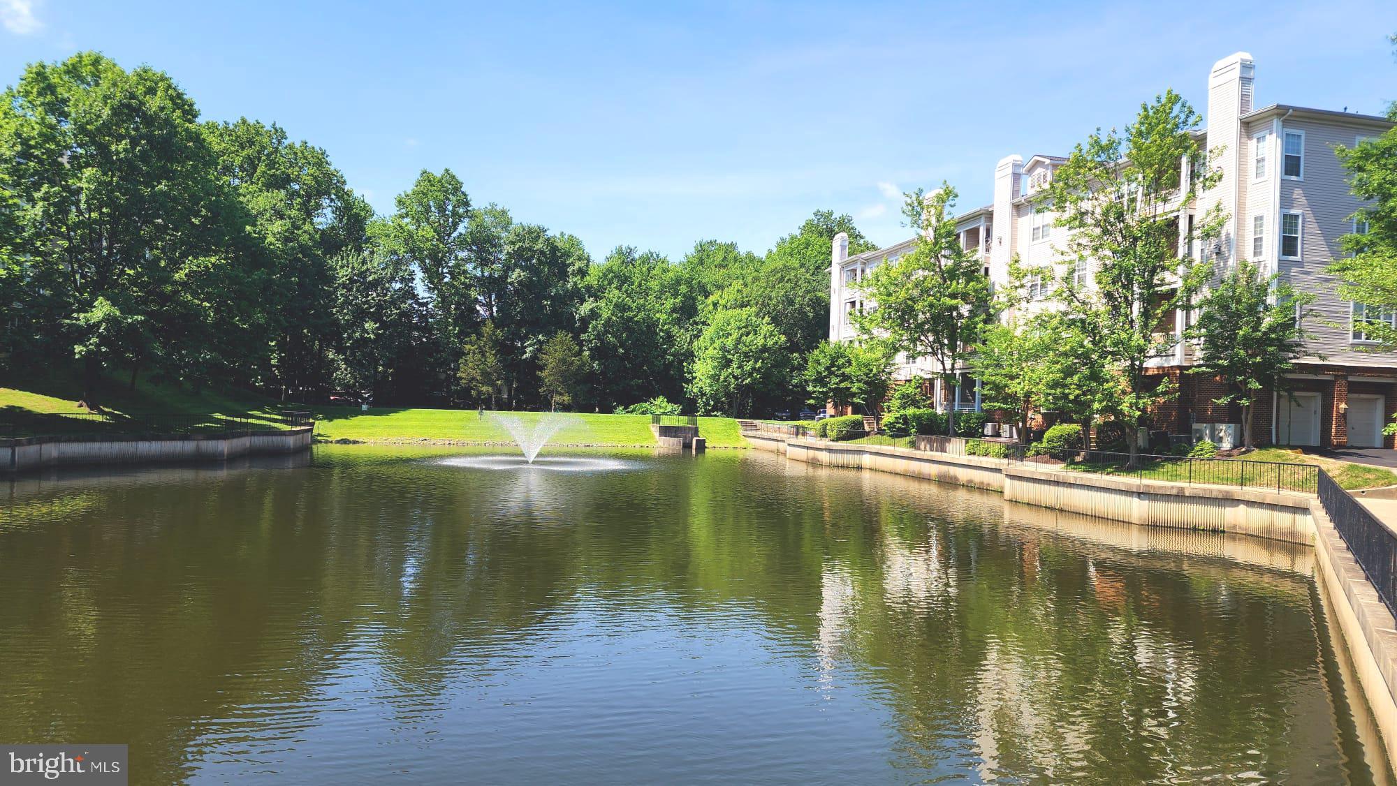 4310 CANNON RIDGE COURT 81