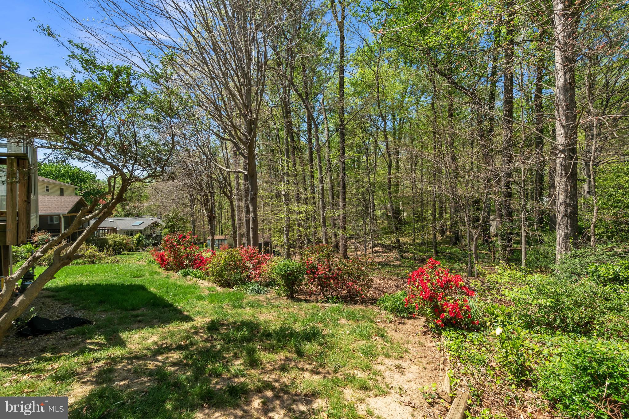 6944 COTTONTAIL COURT