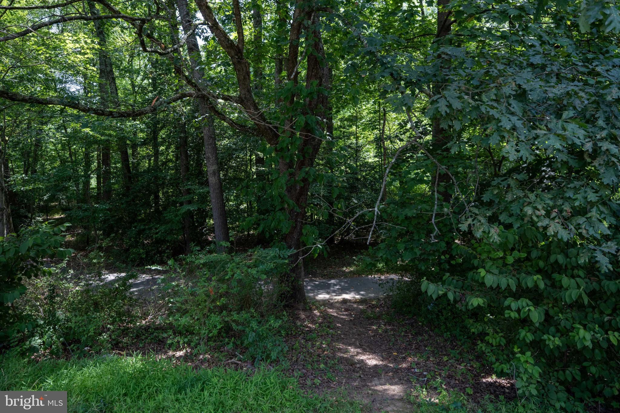 11659 STONEVIEW SQUARE 11C