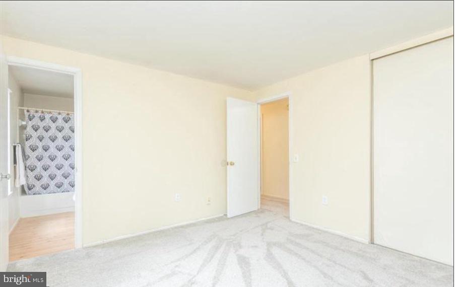 10168 SASSAFRAS WOODS COURT