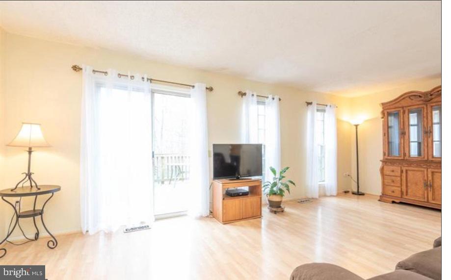 10168 SASSAFRAS WOODS COURT