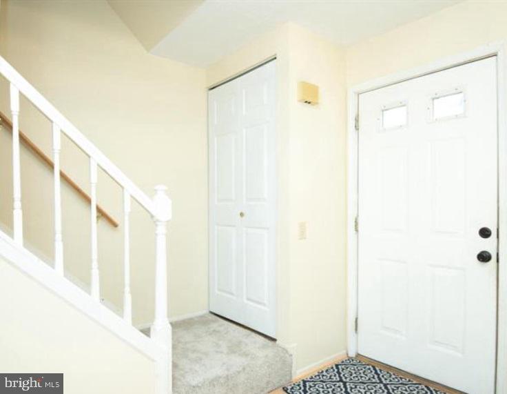 10168 SASSAFRAS WOODS COURT