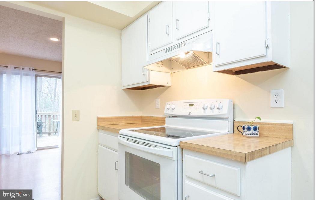 10168 SASSAFRAS WOODS COURT