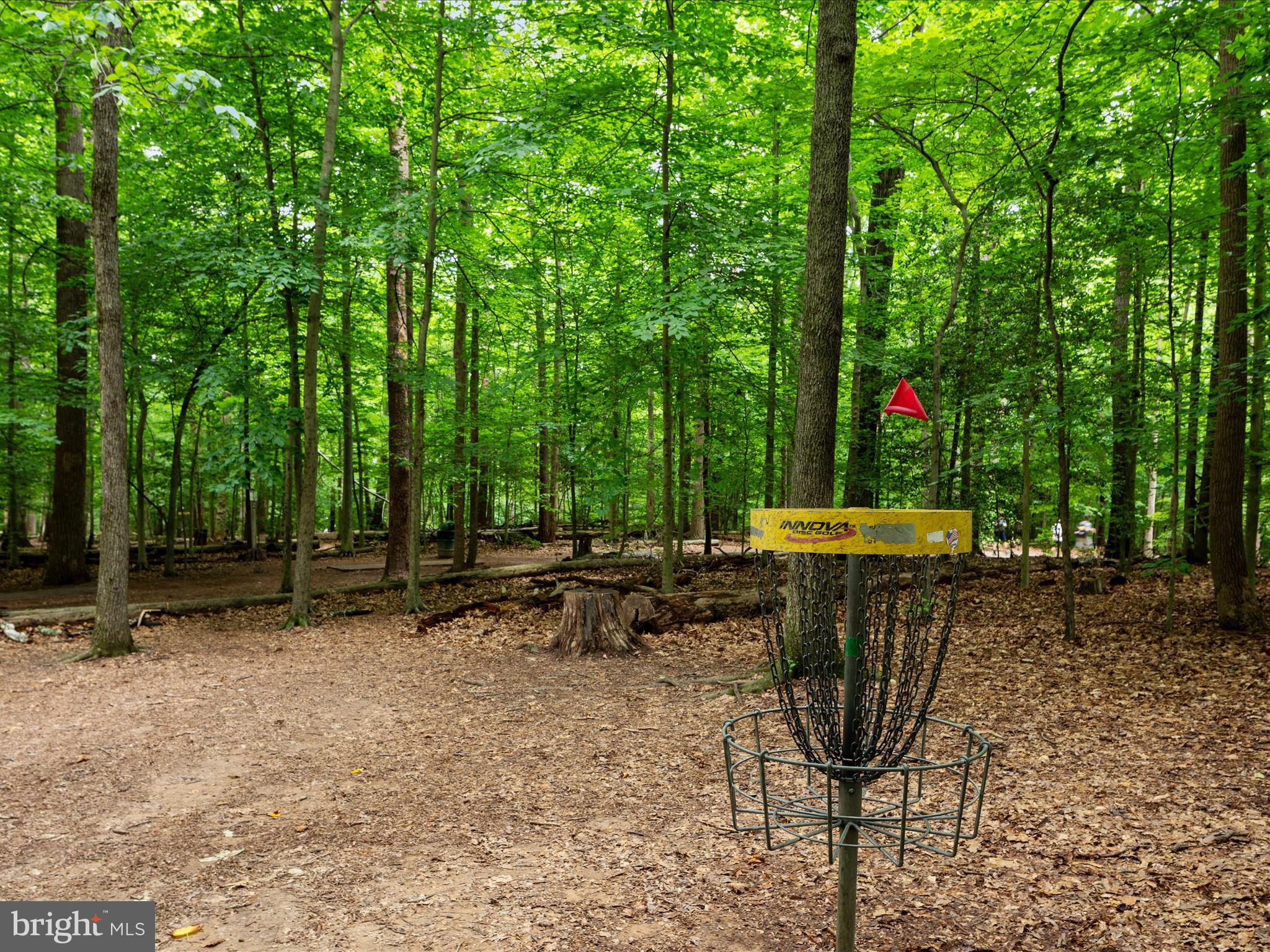 7399 BEACHPLUM DRIVE