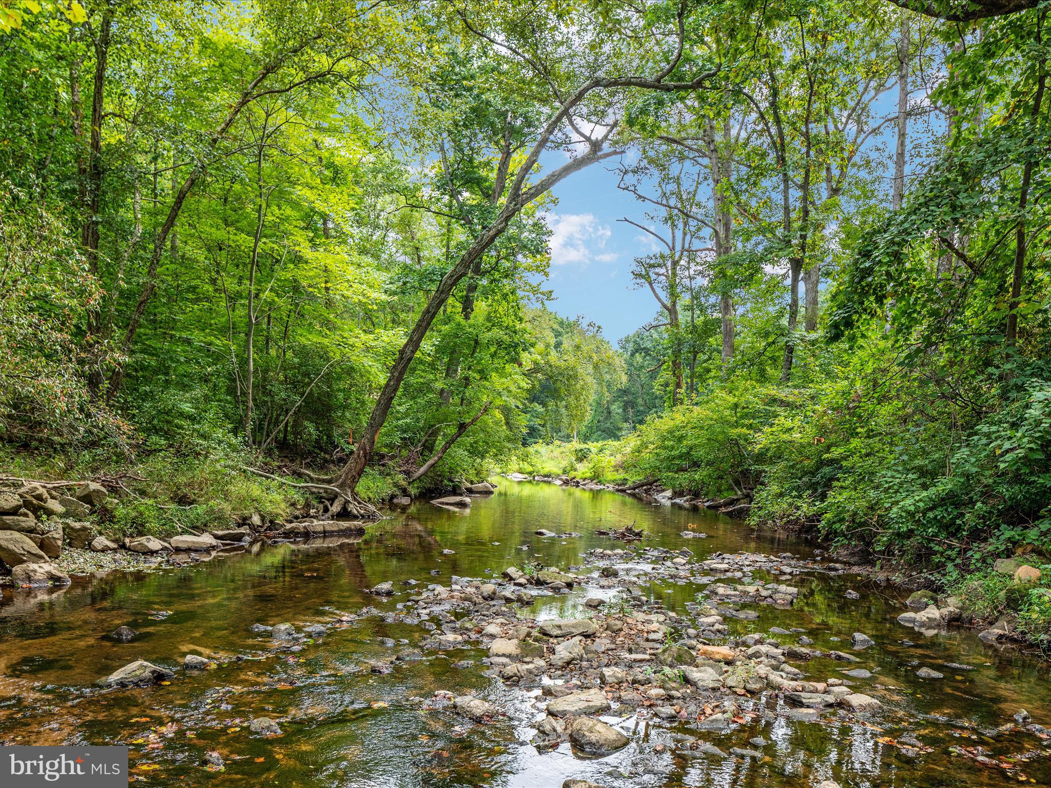 8009 SLEEPY VIEW LANE