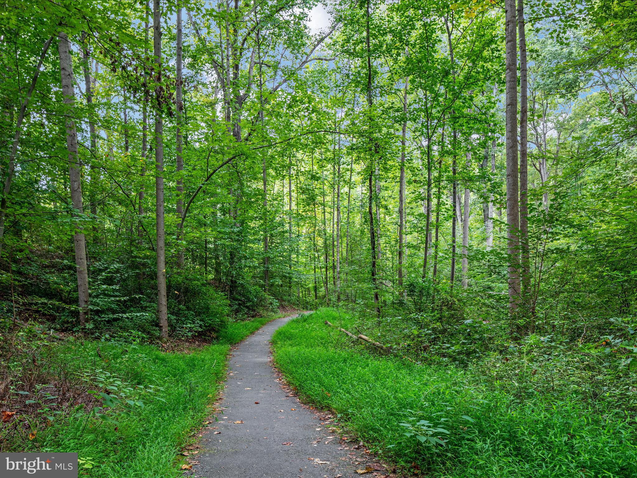 8009 SLEEPY VIEW LANE