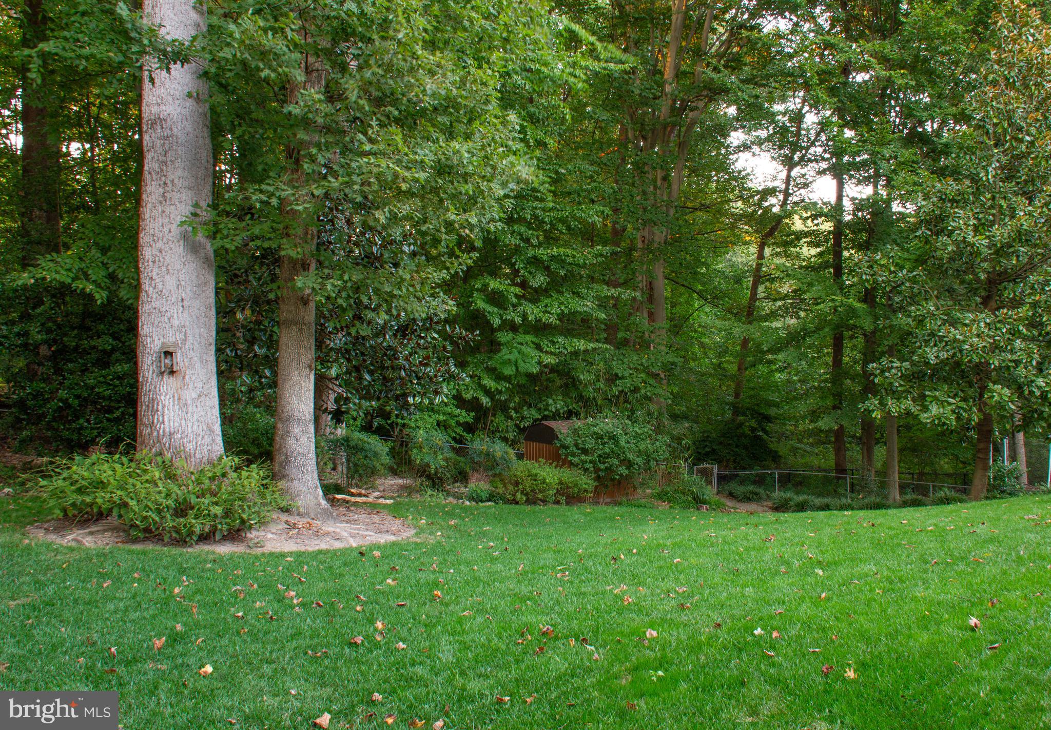 8706 POWDER HORN ROAD