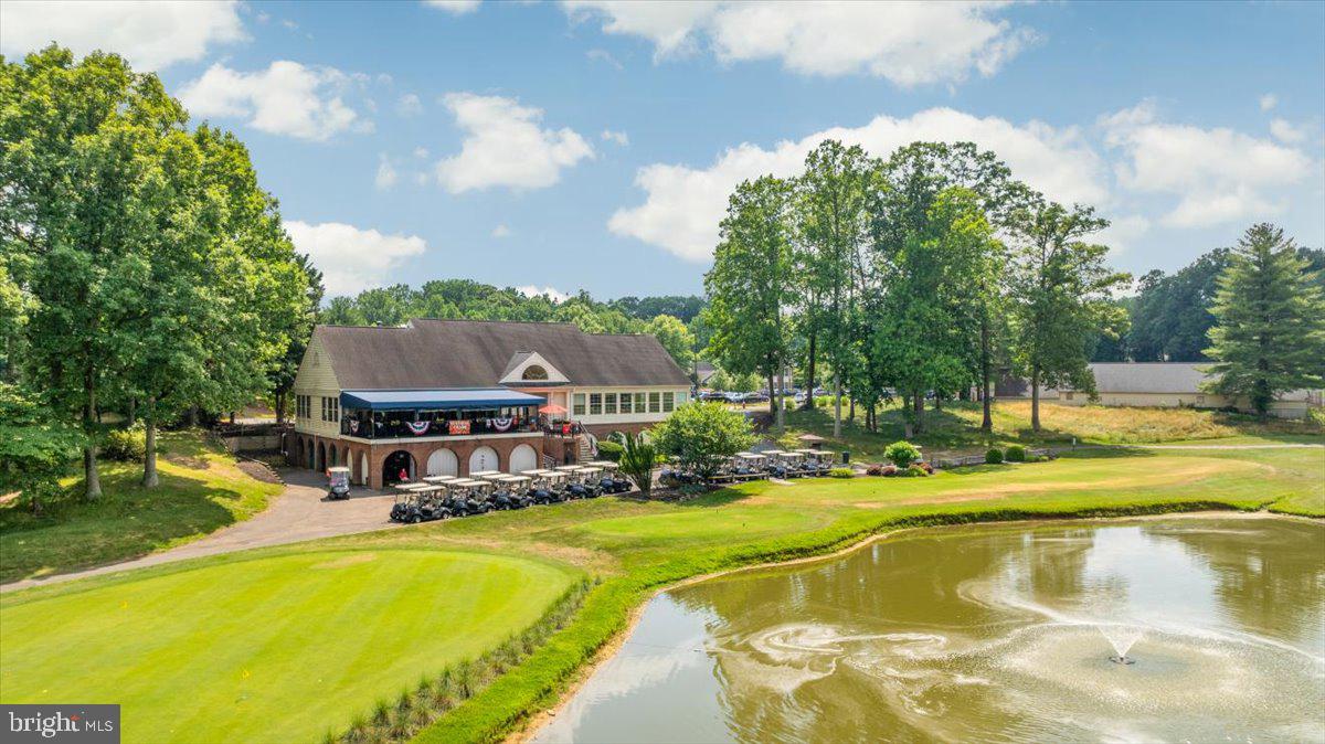 11747 PINE TREE DRIVE