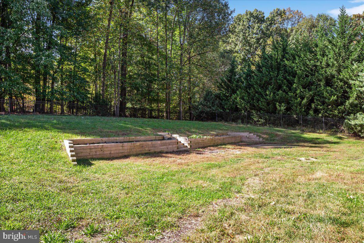 11747 PINE TREE DRIVE