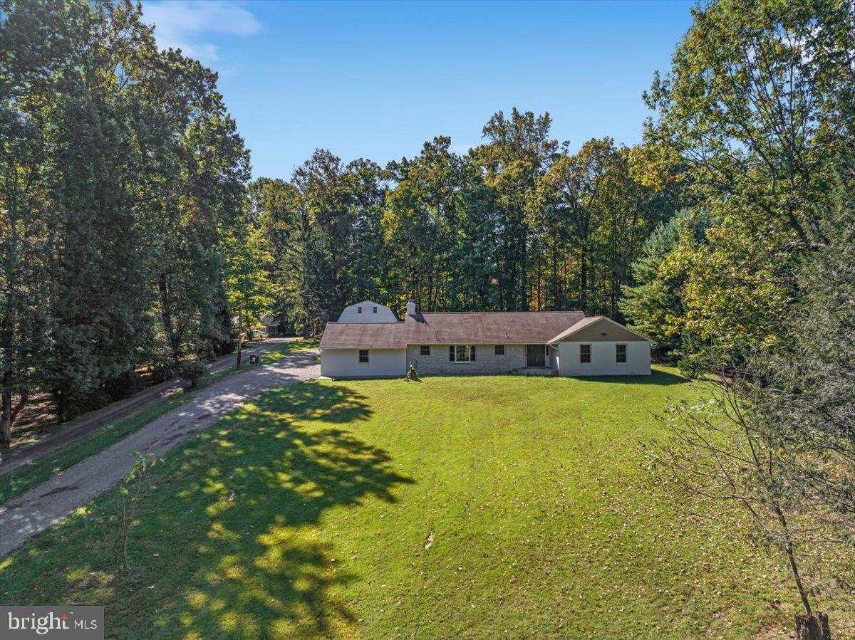 11747 PINE TREE DRIVE