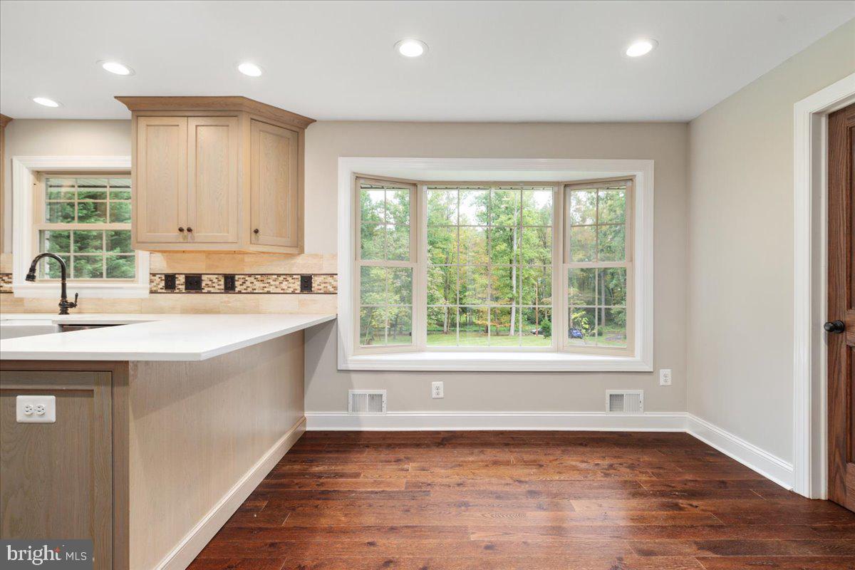 11747 PINE TREE DRIVE