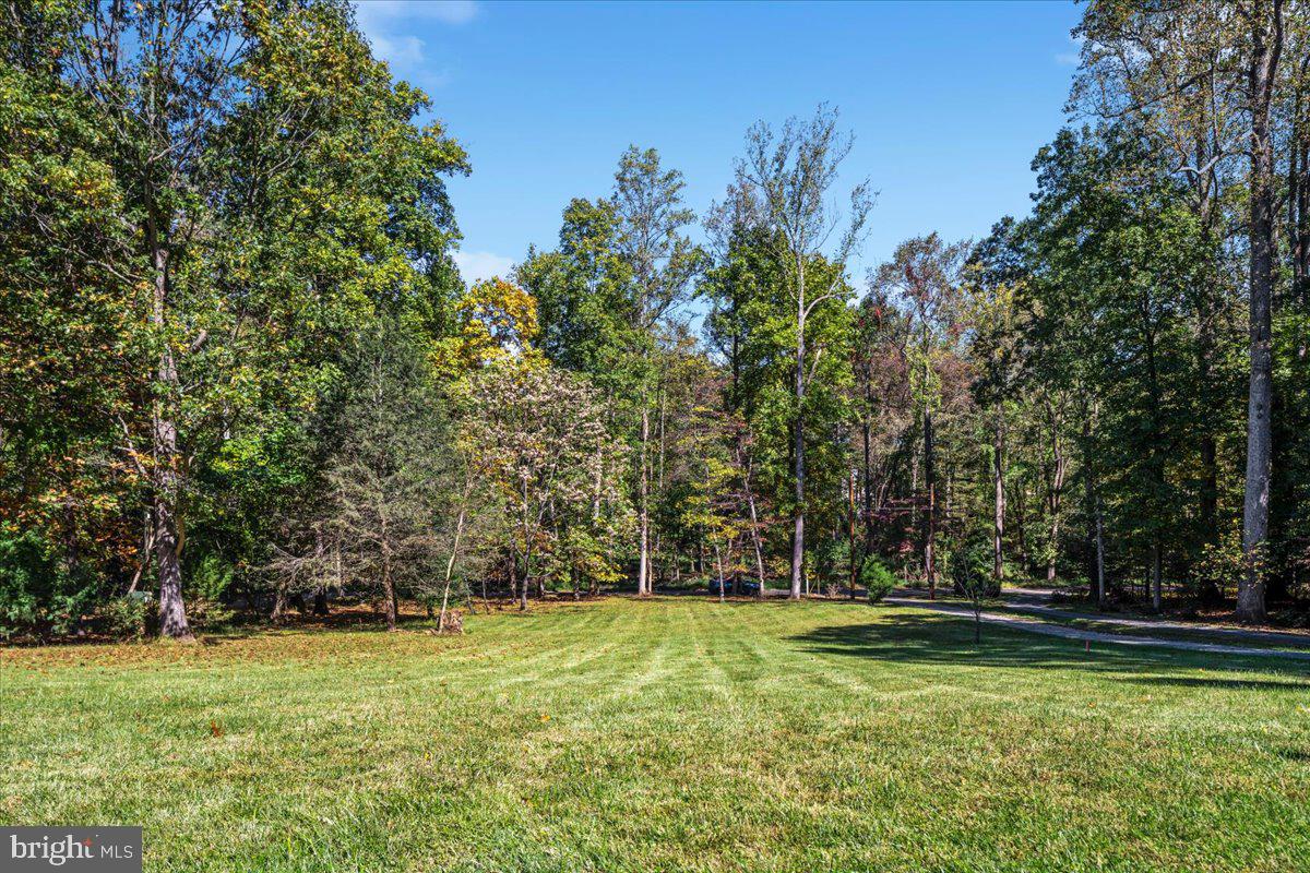 11747 PINE TREE DRIVE