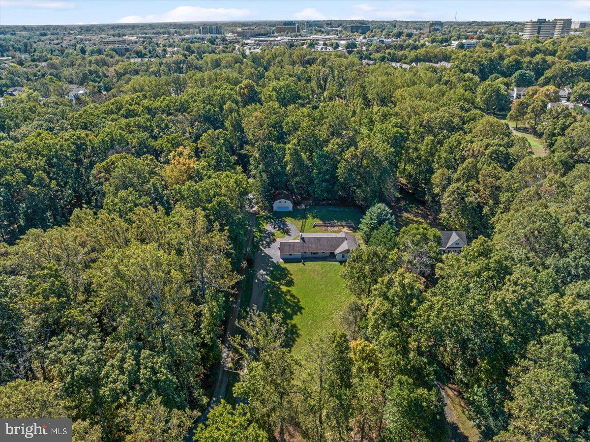 11747 PINE TREE DRIVE