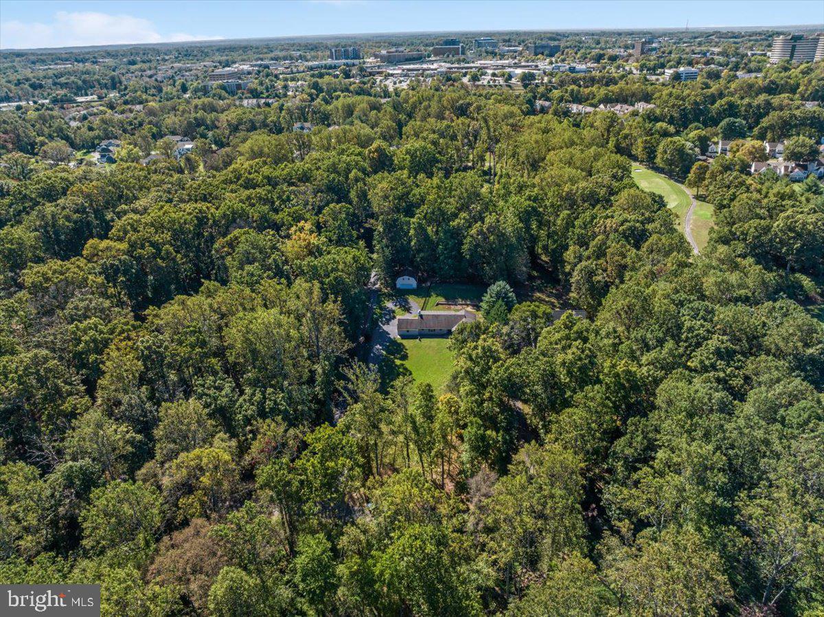 11747 PINE TREE DRIVE