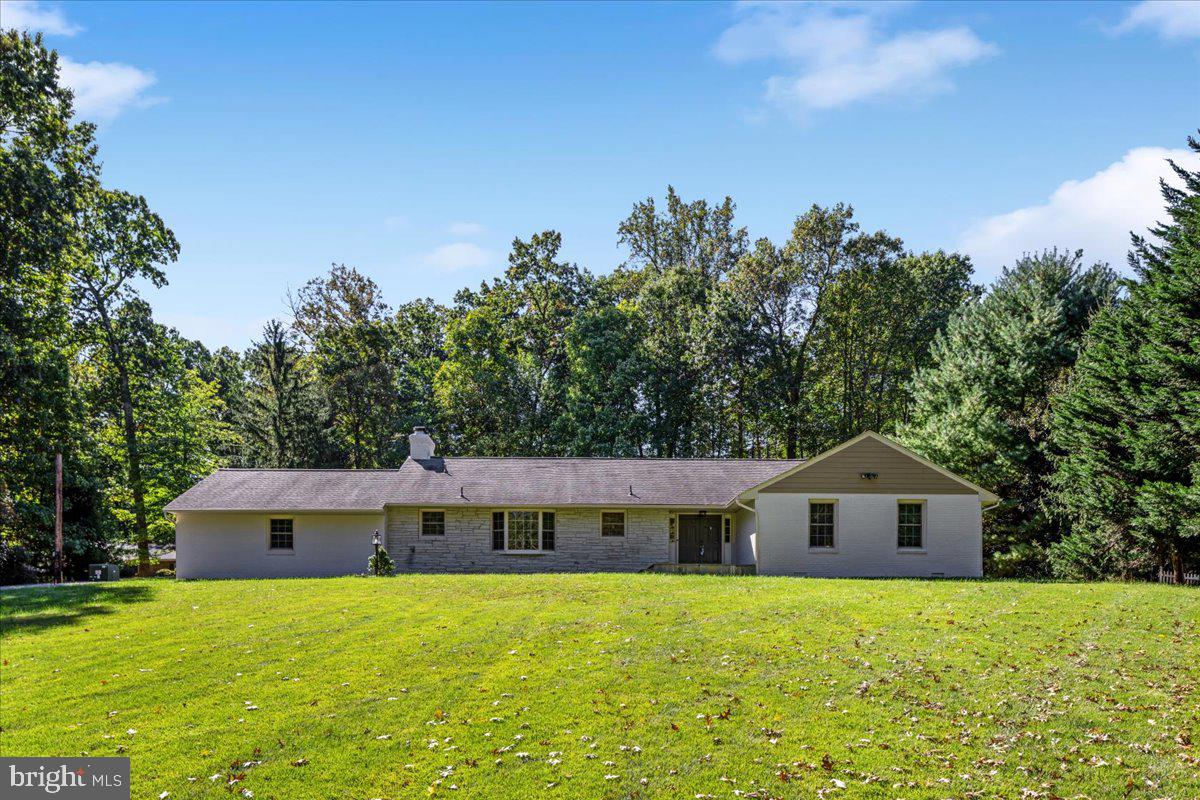 11747 PINE TREE DRIVE