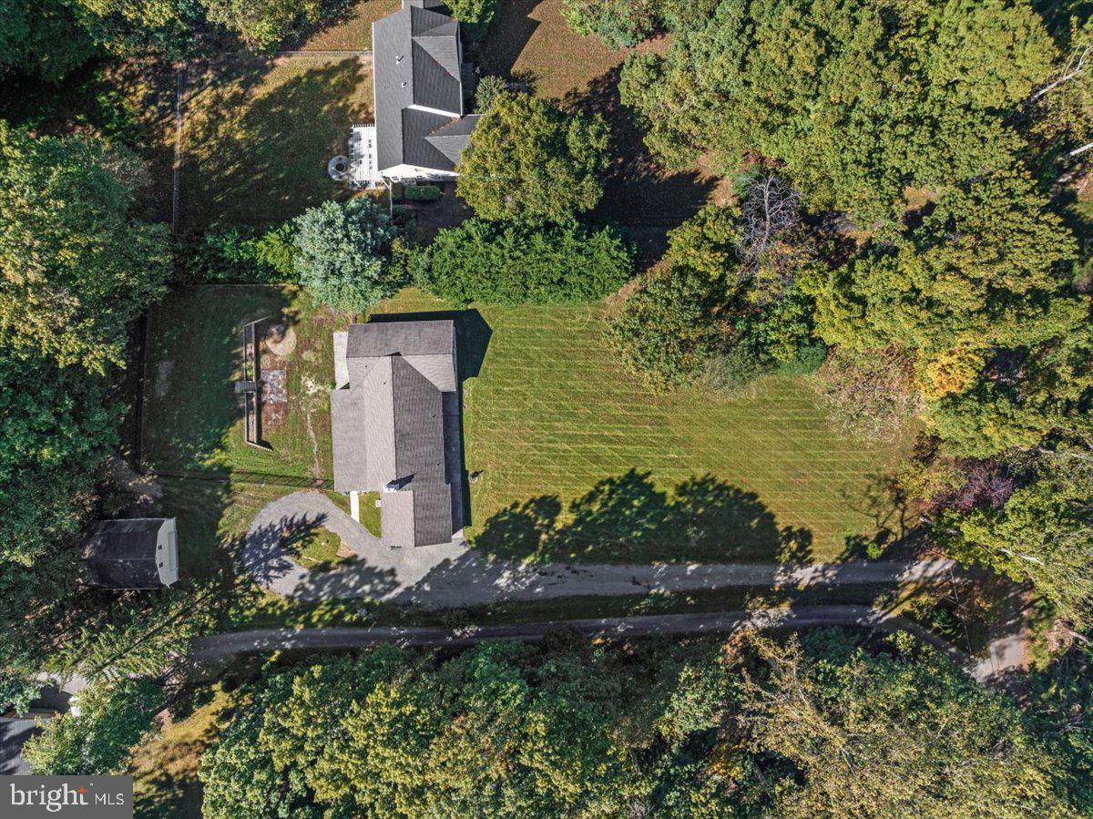 11747 PINE TREE DRIVE