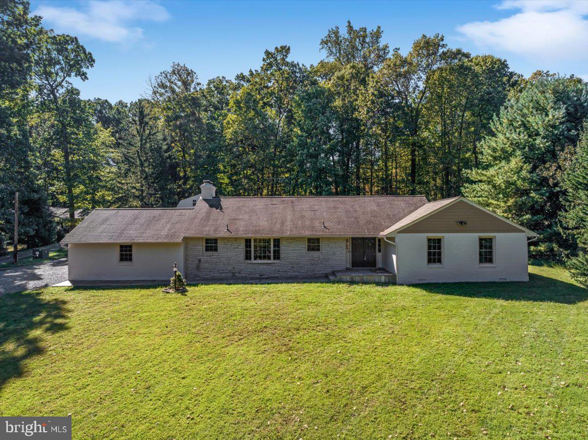 11747 PINE TREE DRIVE