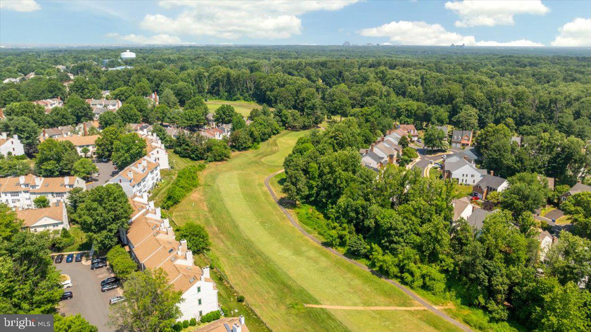 11747 PINE TREE DRIVE