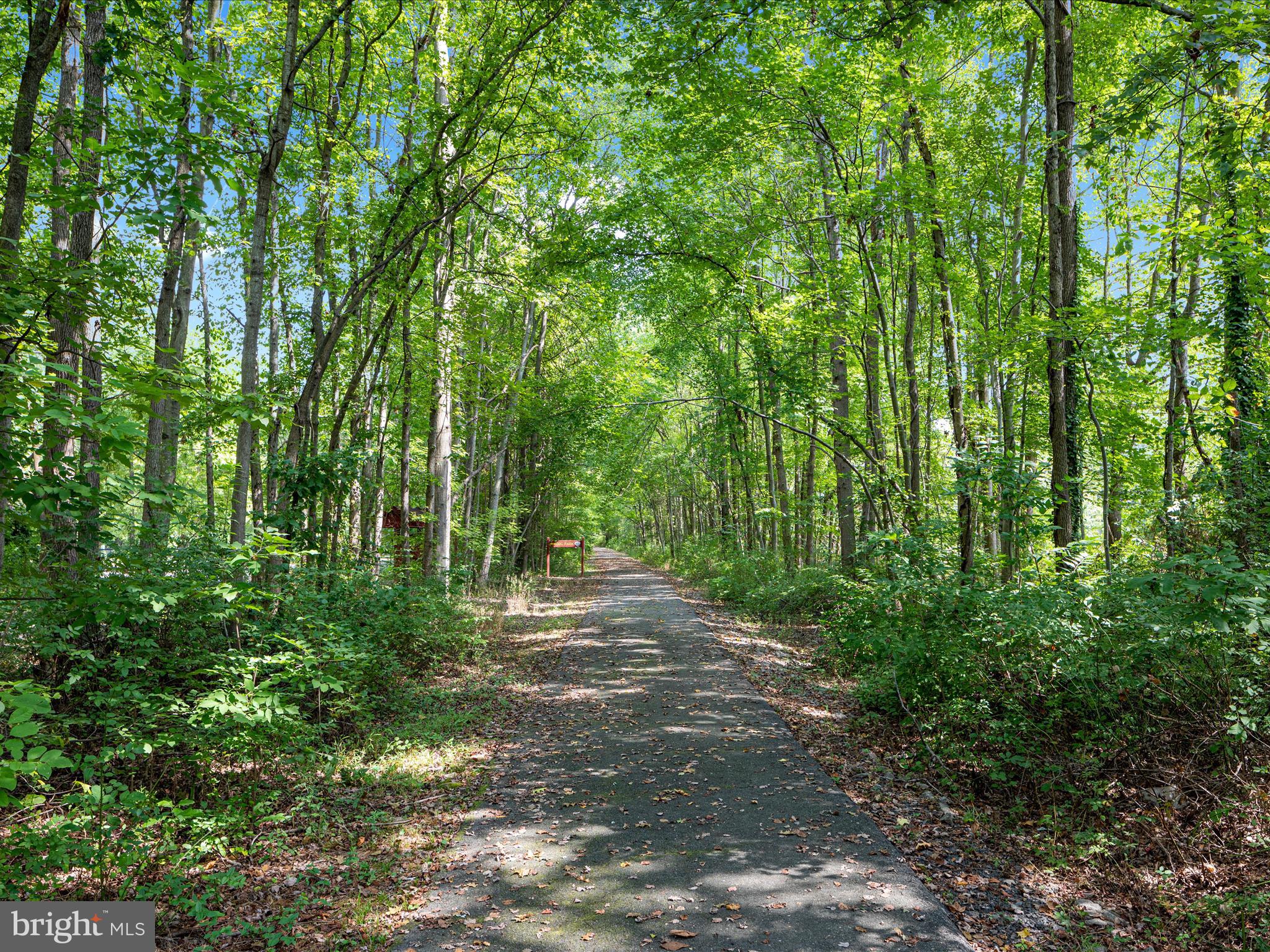 4203 PICKERING PLACE