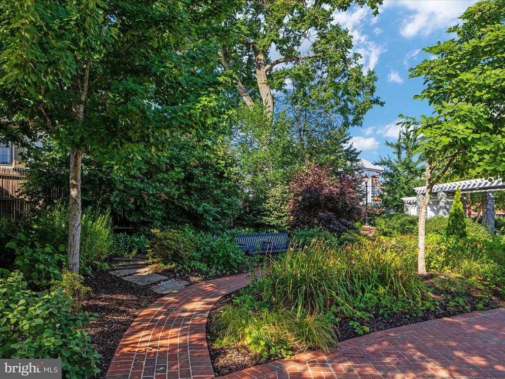 12212 ROWAN TREE DRIVE