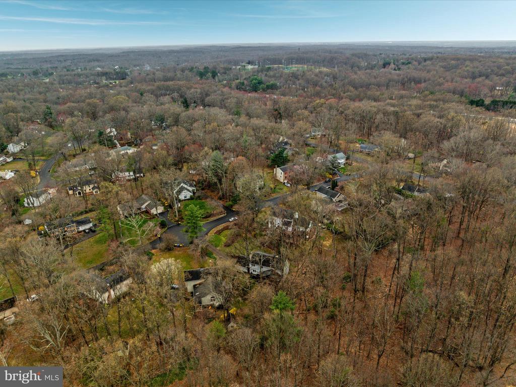 12212 ROWAN TREE DRIVE