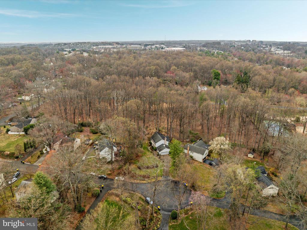 12212 ROWAN TREE DRIVE