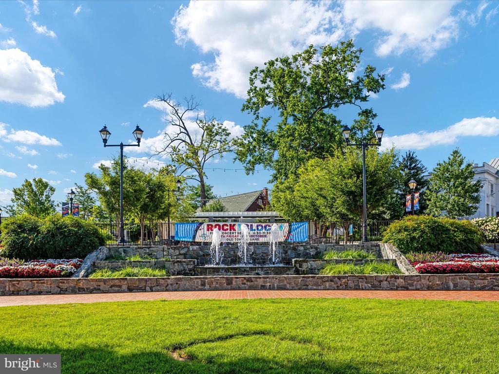 12212 ROWAN TREE DRIVE